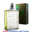 Escentric 03 Escentric Molecules Generic Oil Perfume 50 Grams 50ML